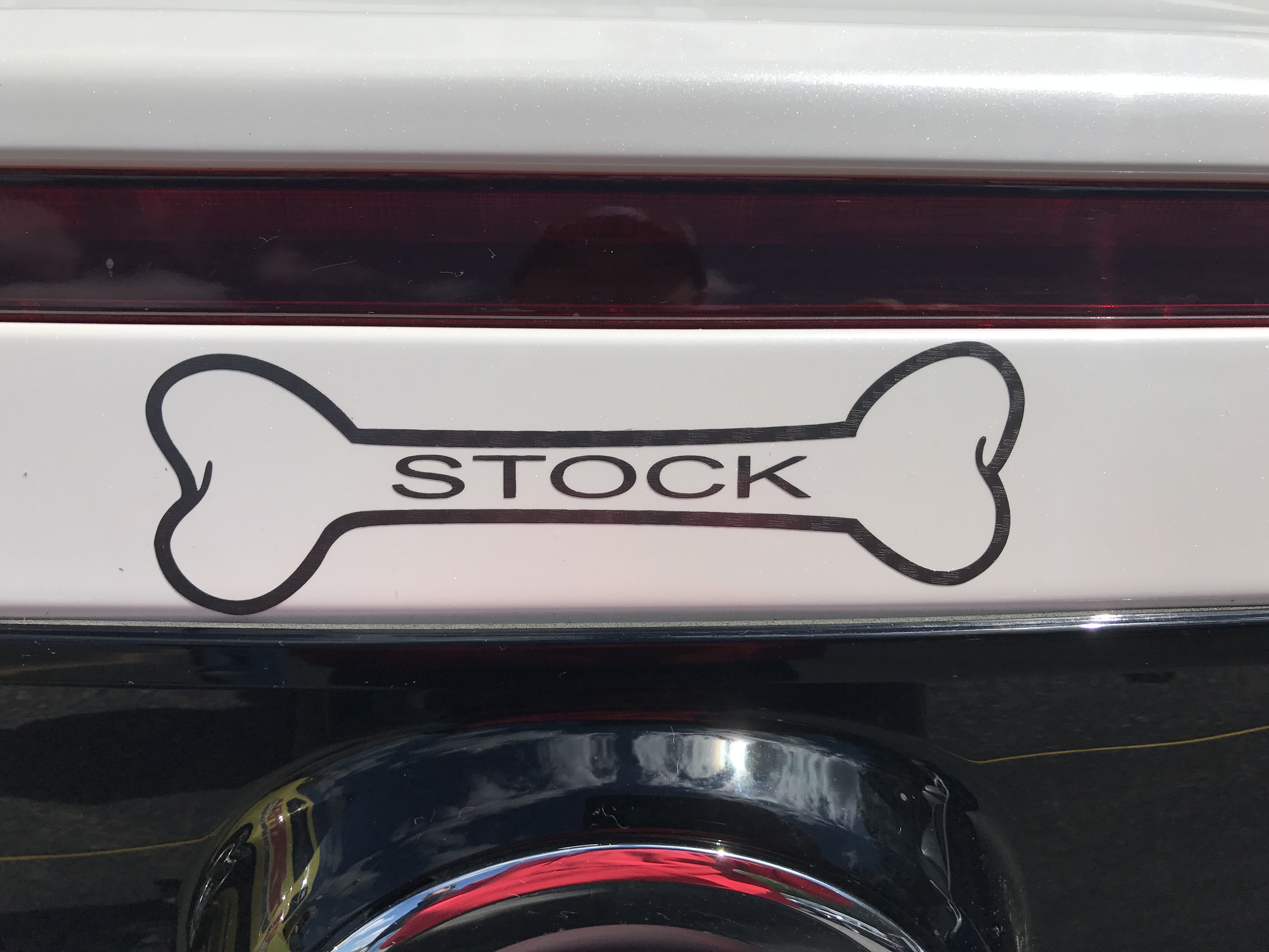 GLSSA Photo missing>