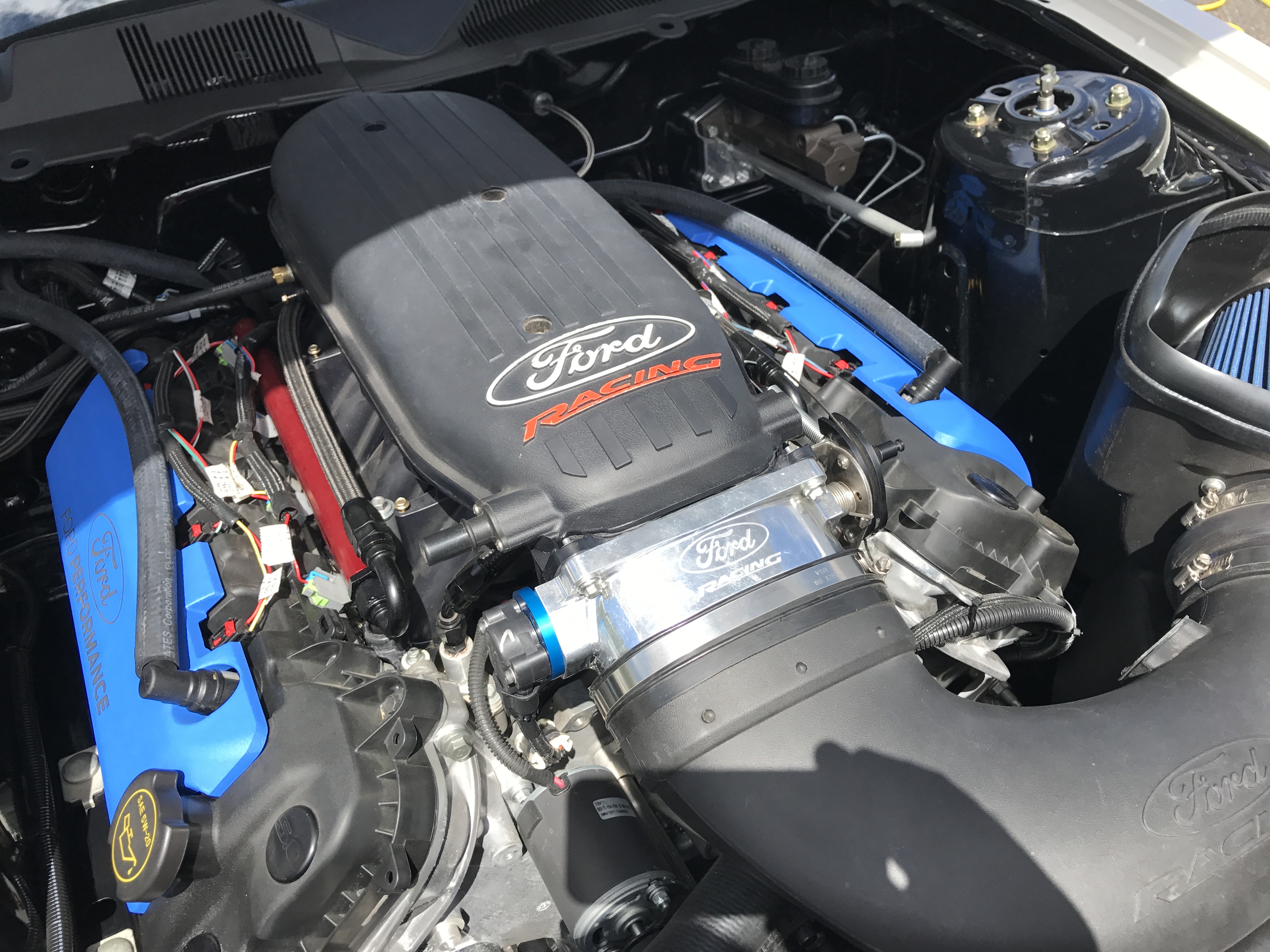 GLSSA Photo missing>